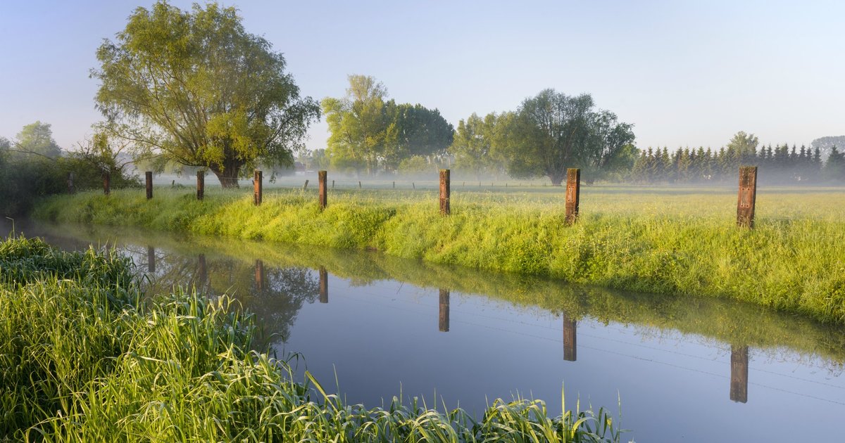 het weer zwalm