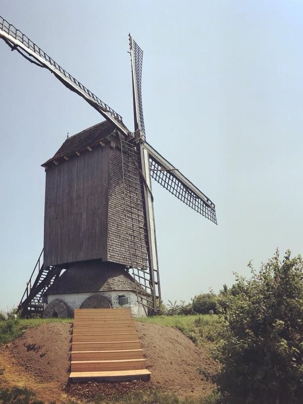 De Bossenaarmolen