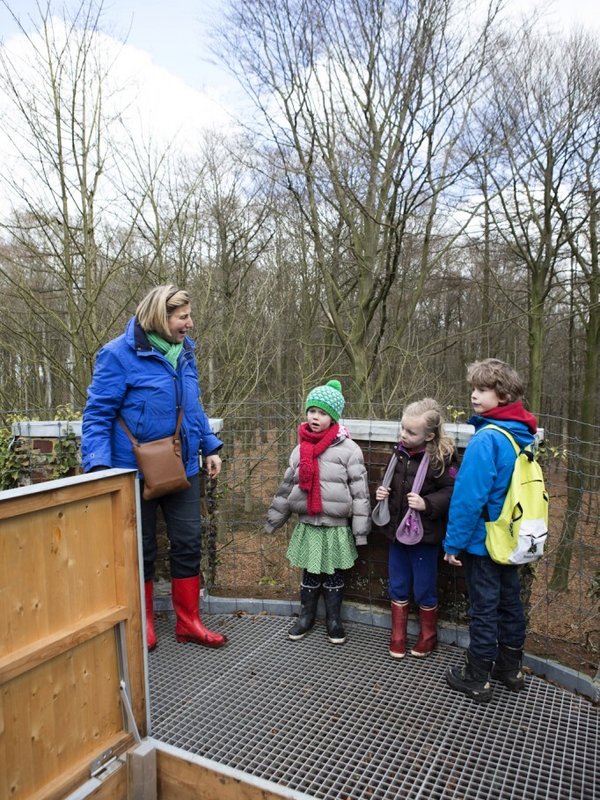 Geuzentoren Muziekbos Ronse