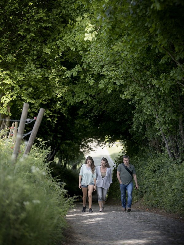 Wandelen op de Koppenberg
