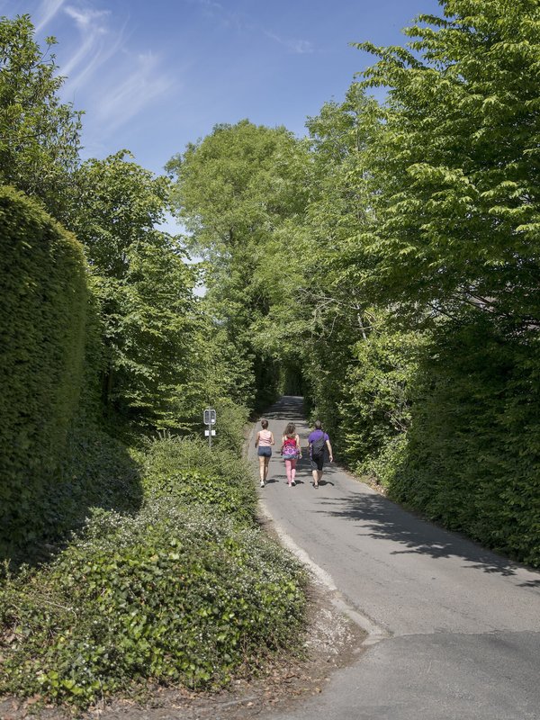 Wandelen op de Kortekeer