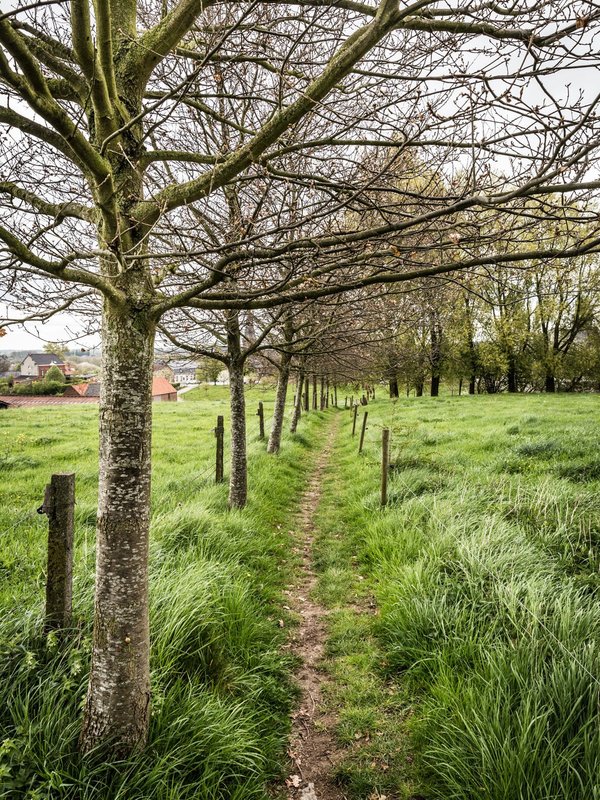 Wandelpad in Schorisse
