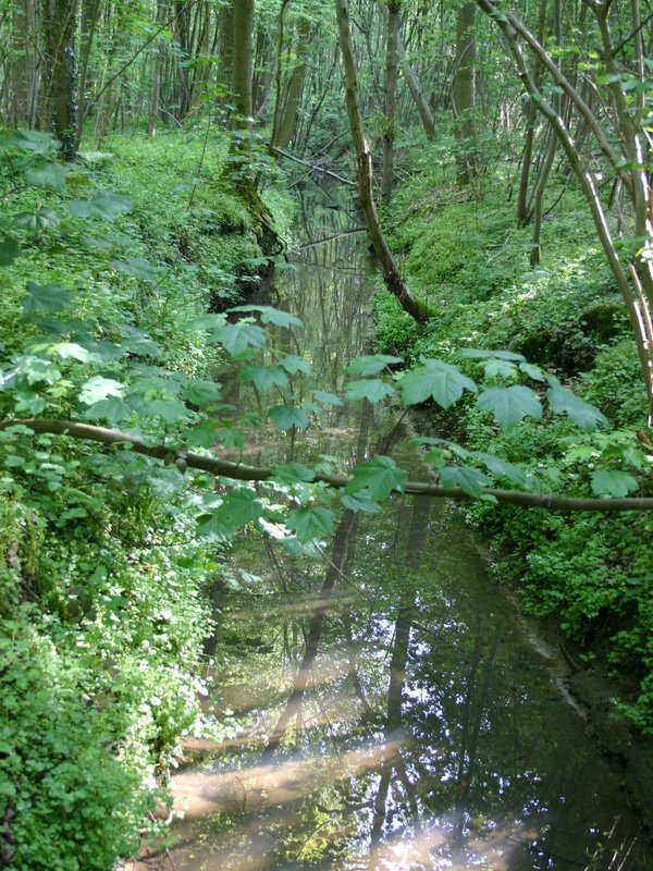 beekje Cotthem Sint-Lievens-Houtem