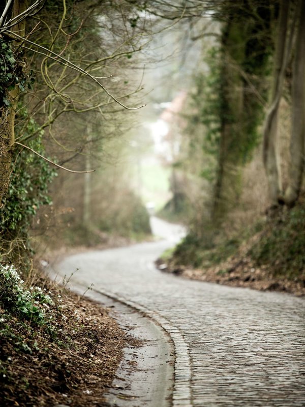 Taaienberg Maarkedal