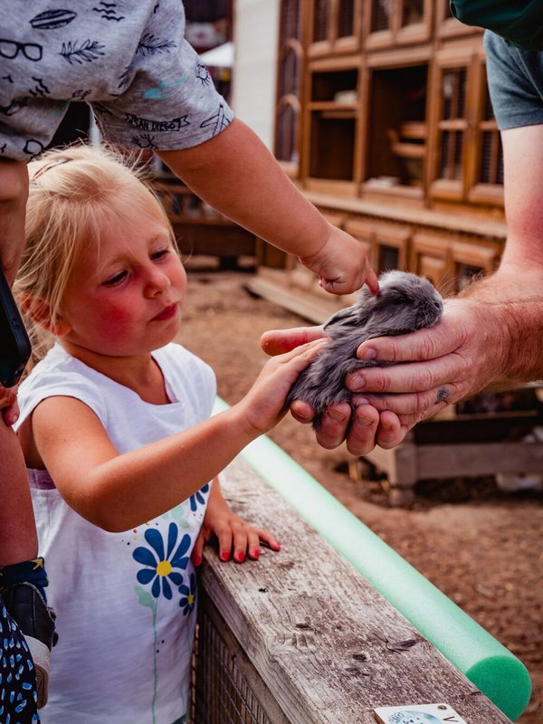 B&amp;B/Hotel Hoeve De Schapenkop in Ronse