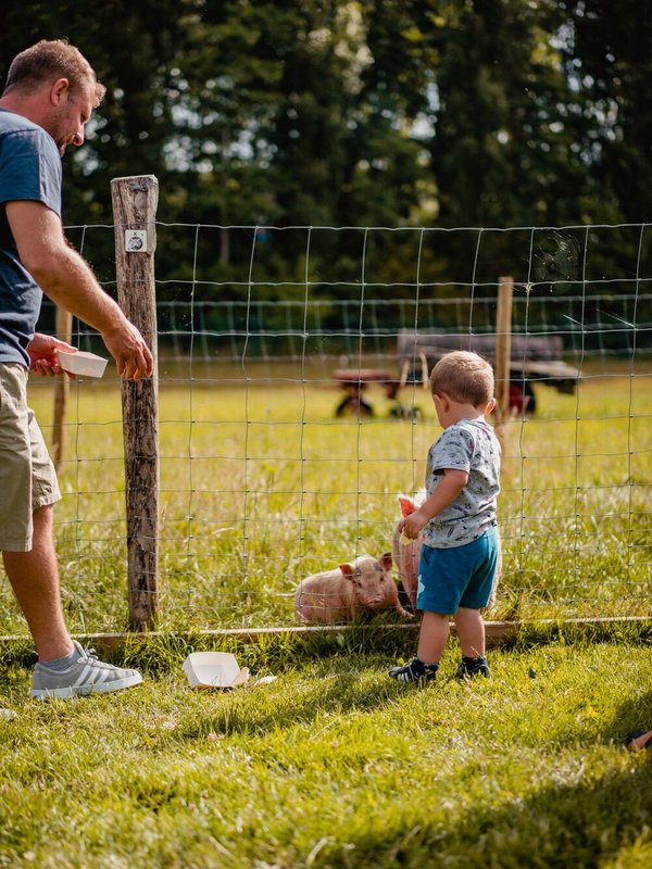 B&amp;B/Hotel Hoeve De Schapenkop in Ronse